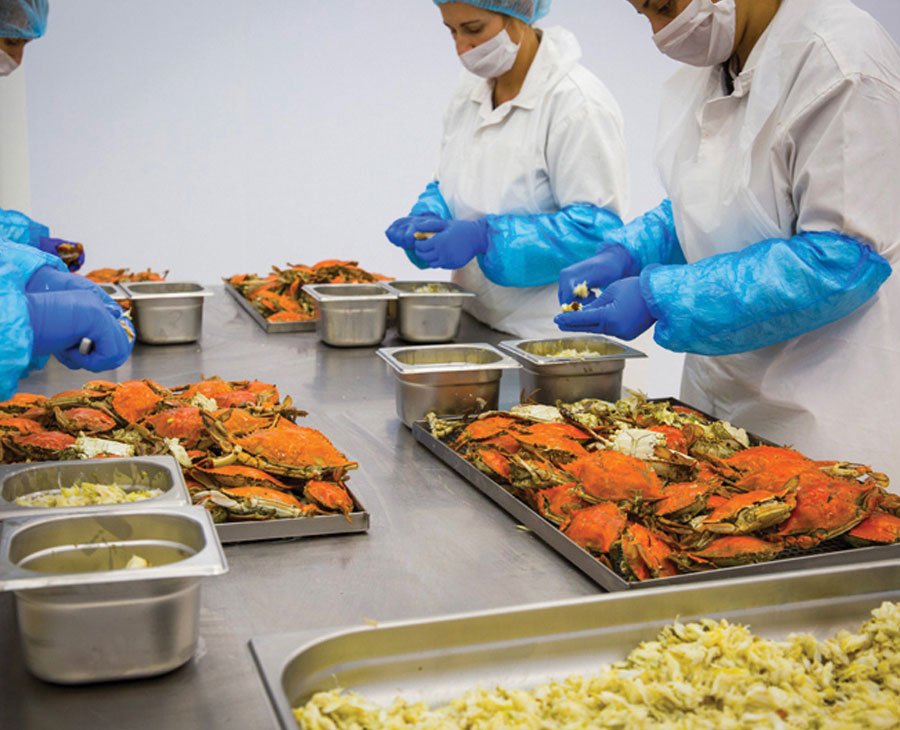 Mytilos quality control