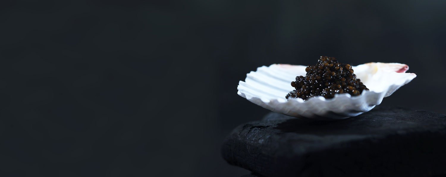 Mytilos caviar on plate